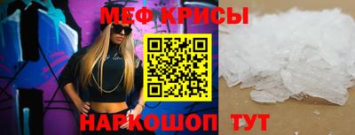 спиды Кингисепп