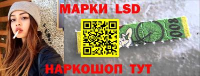 спиды Кингисепп