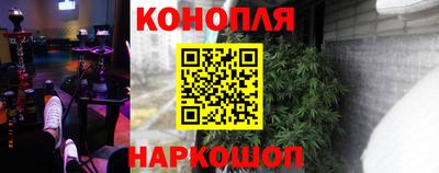 спиды Кингисепп
