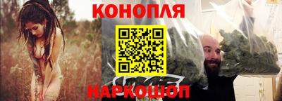 спиды Кингисепп