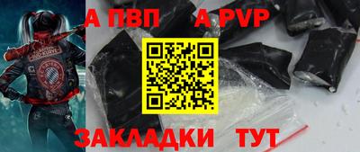 спиды Кингисепп