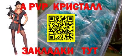 спиды Кингисепп